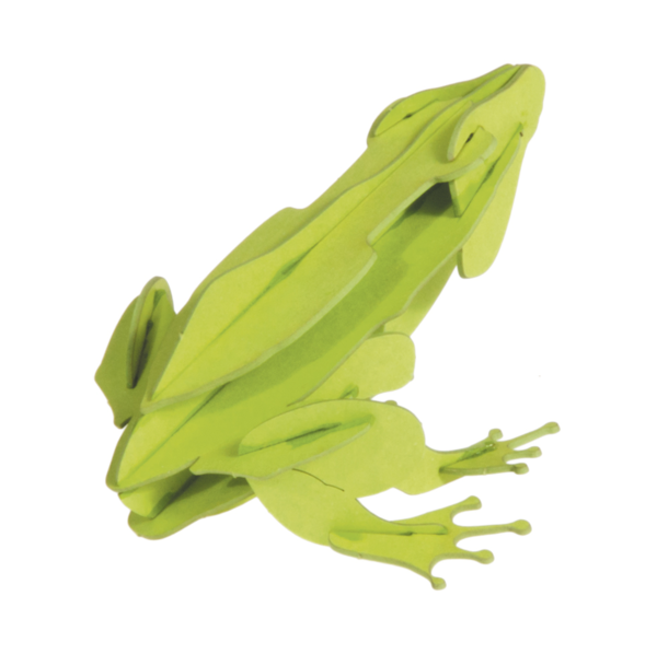 Frosch - 3D Papiermodell